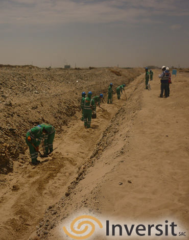 servicio de red de fibra optica